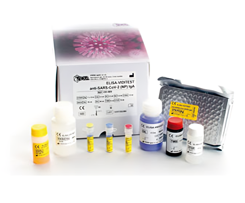 VIDIA ELISA-MONO-LIA-RAPID-IF